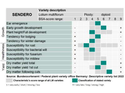 Sendero-0